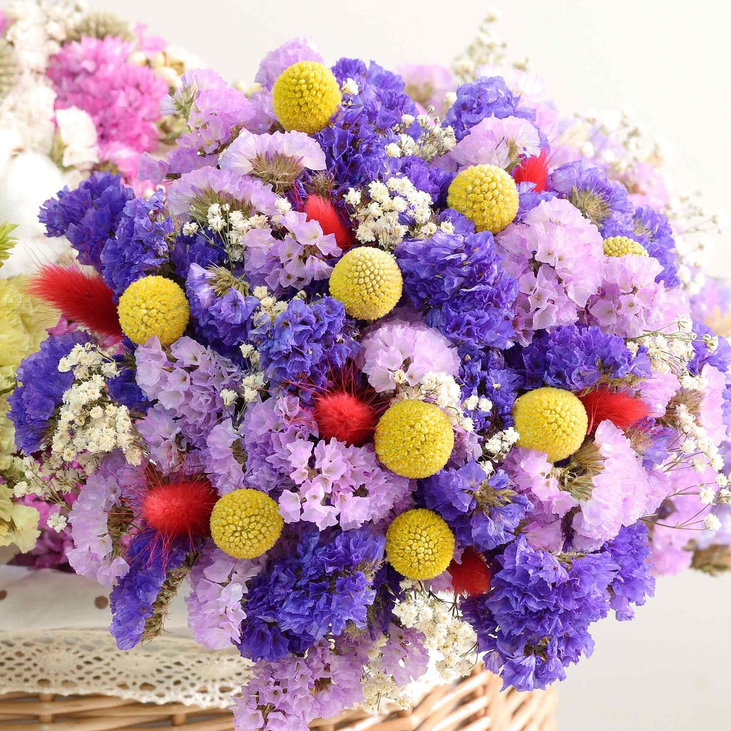 billy button flower seeds Billy Button Seeds | Flower Seeds