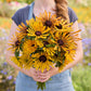 Person holding a bouquet of black eyed susan Chim Chiminee in a field