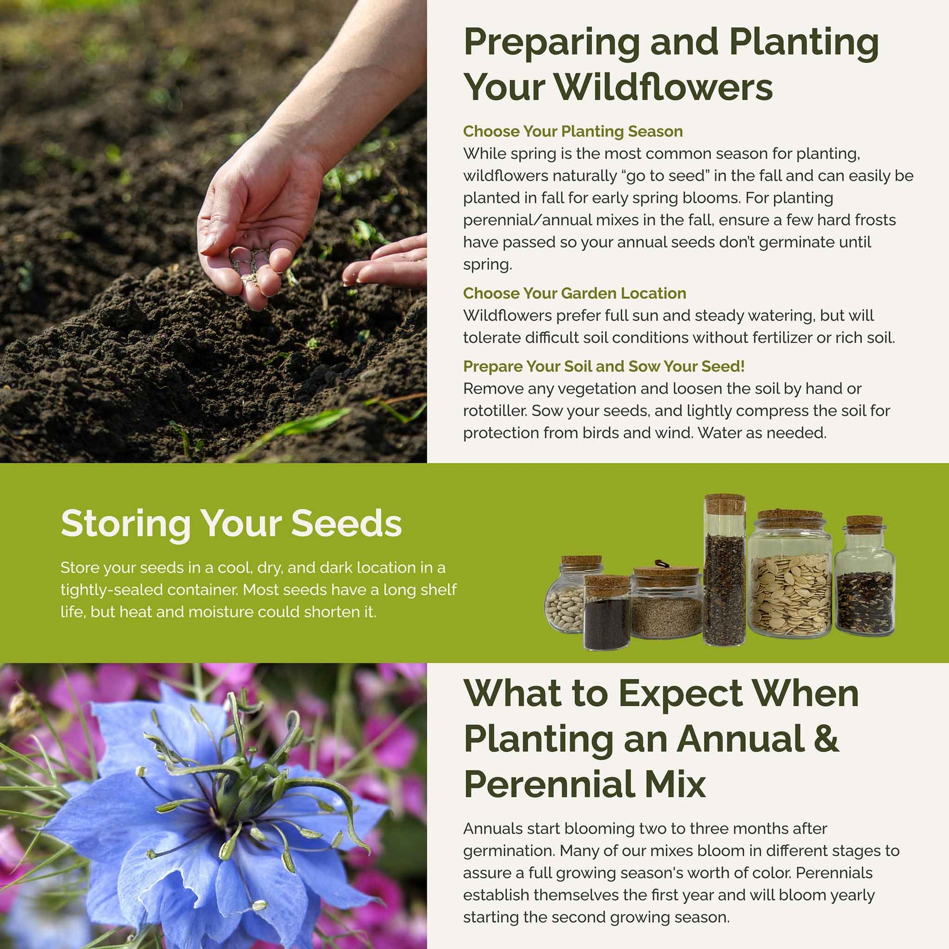 blue ribbon planting