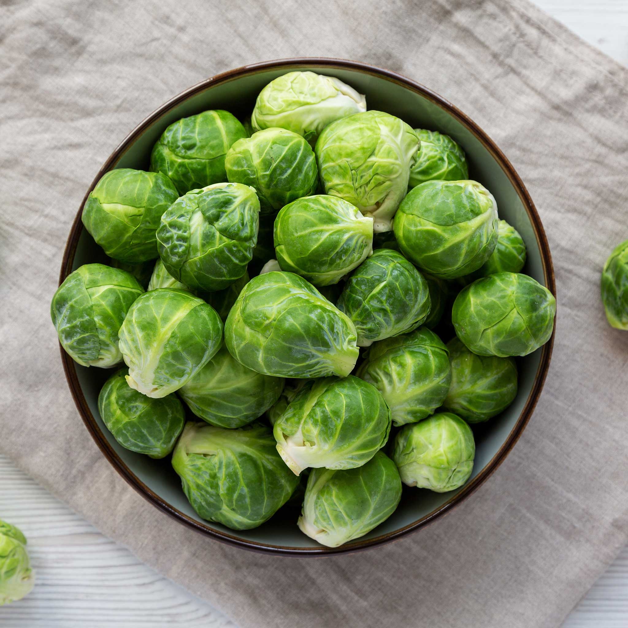 Bulk Brussels Sprouts Seeds (Organic) - Dagan F1 | Bulk Seed Store