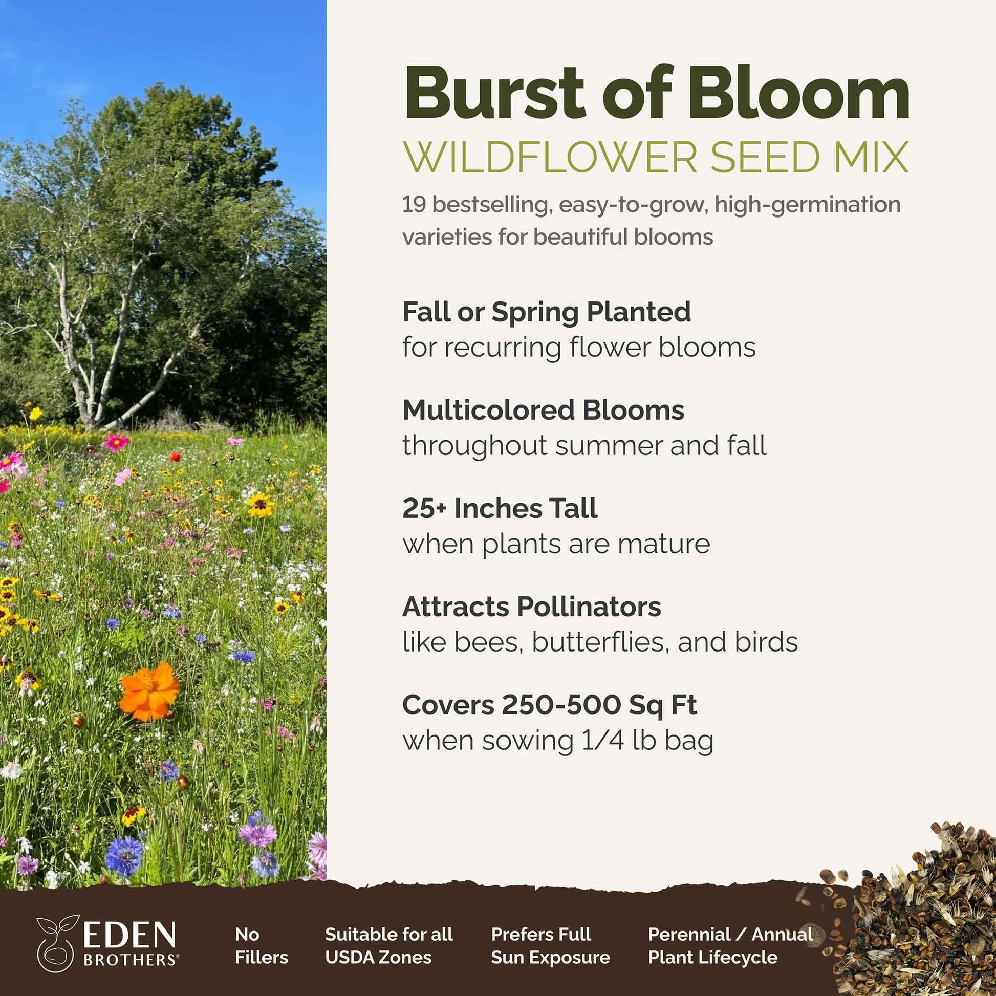wildflower meadow seeds bulk Bulk Burst Of Bloom Wildflower Seed Mix