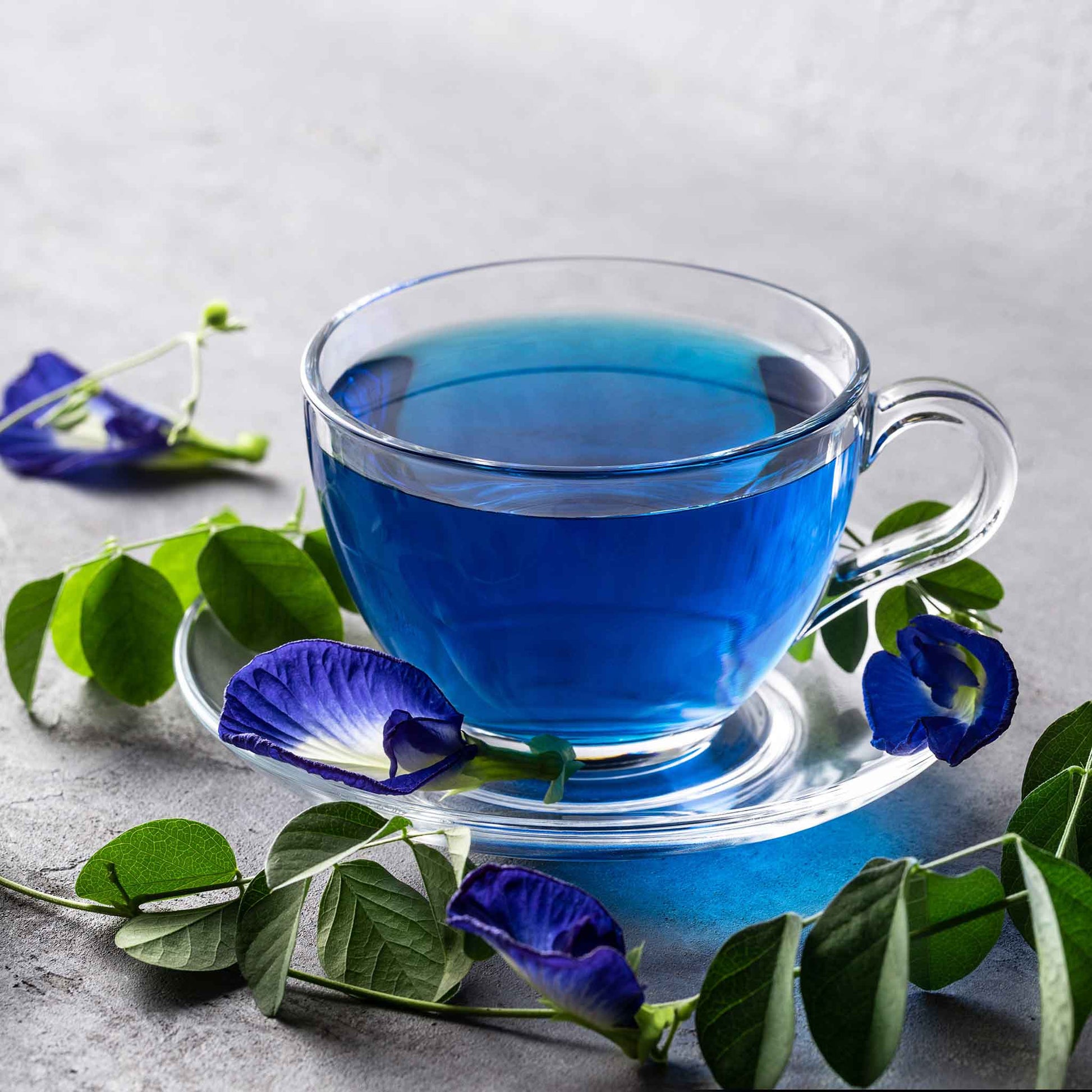 organic butterfly pea flower seeds Bulk Butterfly Pea Seeds - Blue | Flower Seeds