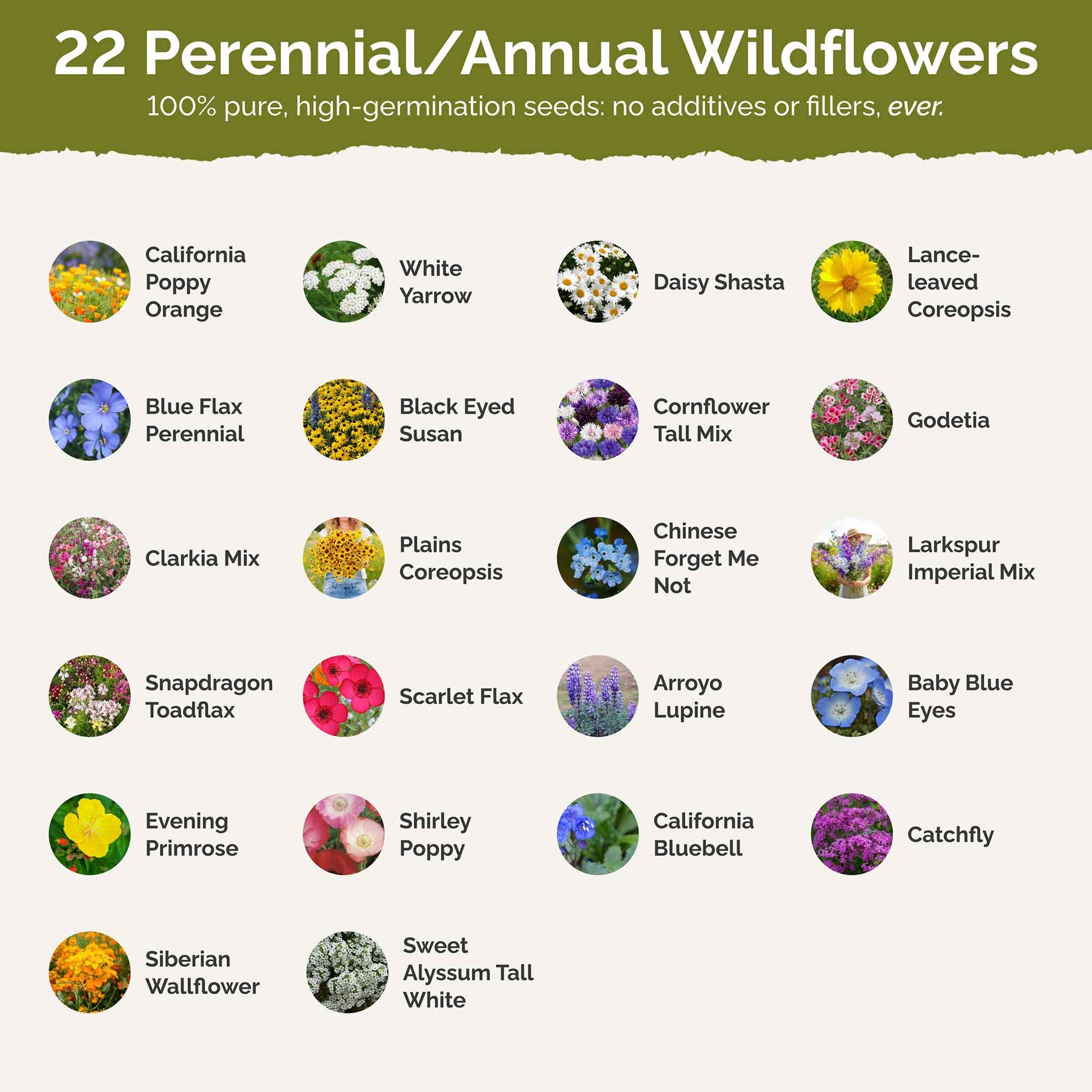 bulk wild flower seeds Bulk Coastal California Wildflower Seed Mix