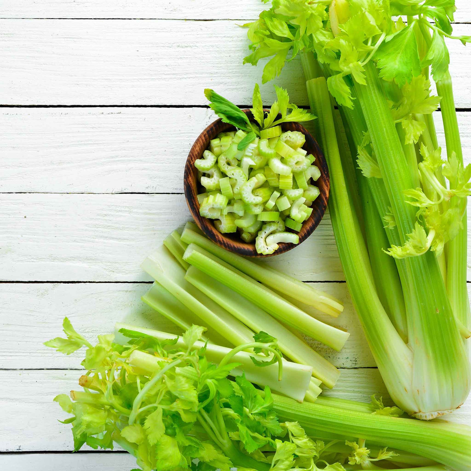 celery seed for planting Bulk Celery Seeds