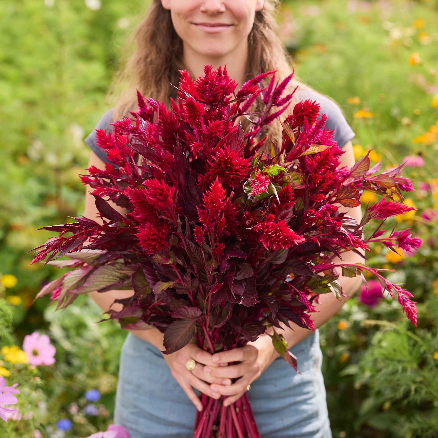 Person holding a bouquet of red forest fire  celosia flowers in a garden setting