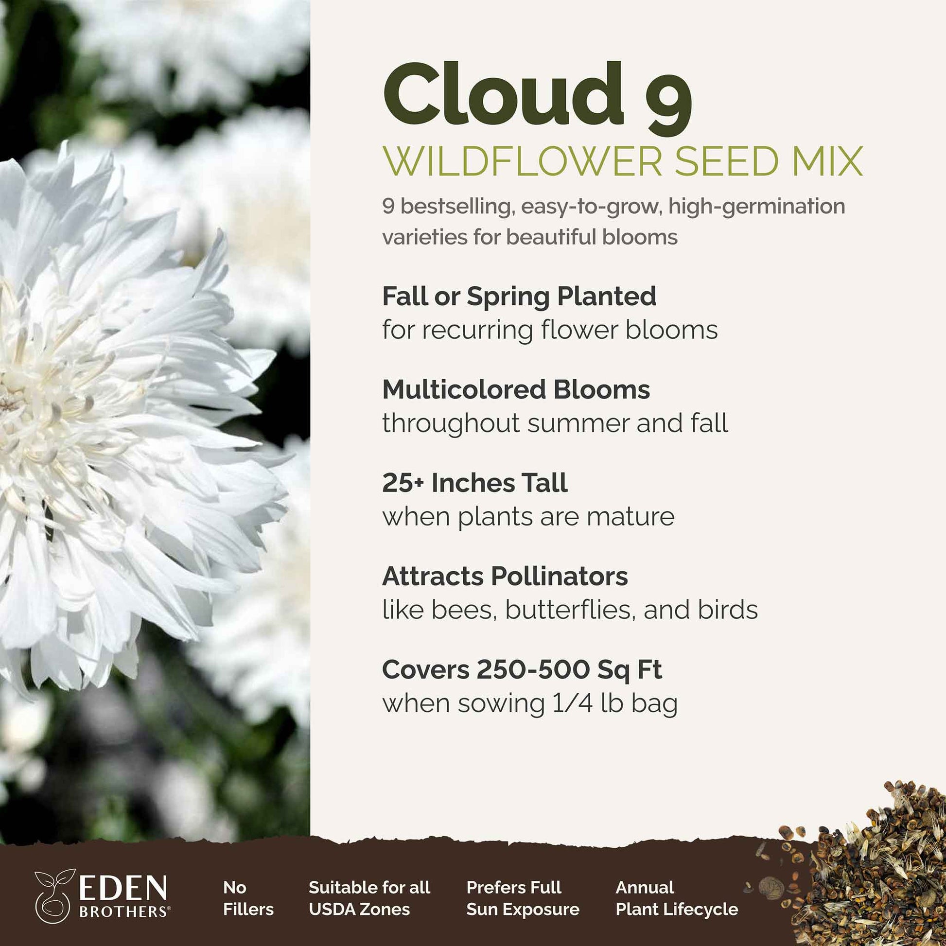 big lots flower seeds Bulk Cloud 9 - White Flower Seed Mix
