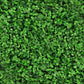 Close-up of green microclover leaves