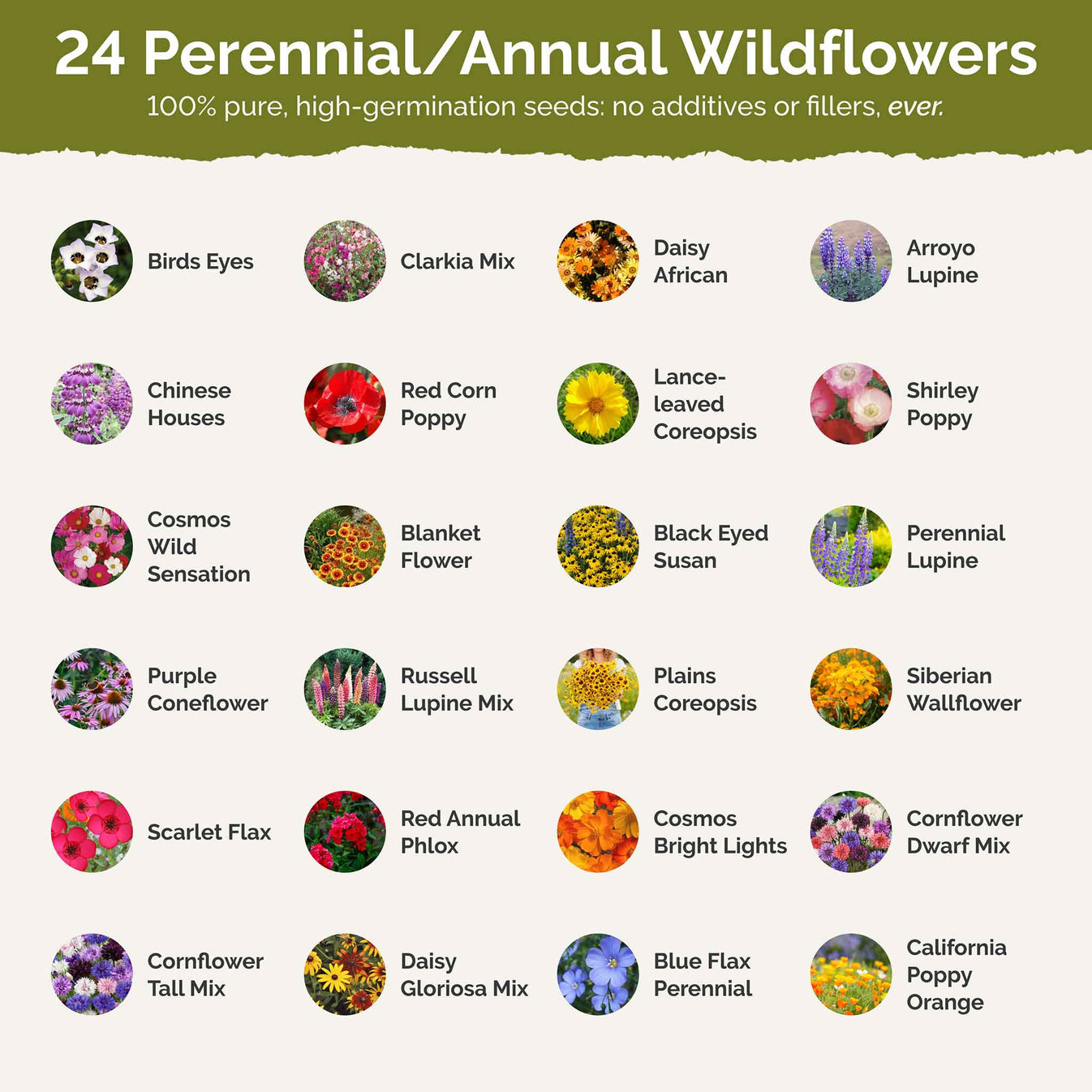 Colorado Wildflower Seed Mix Bulk Seed Store