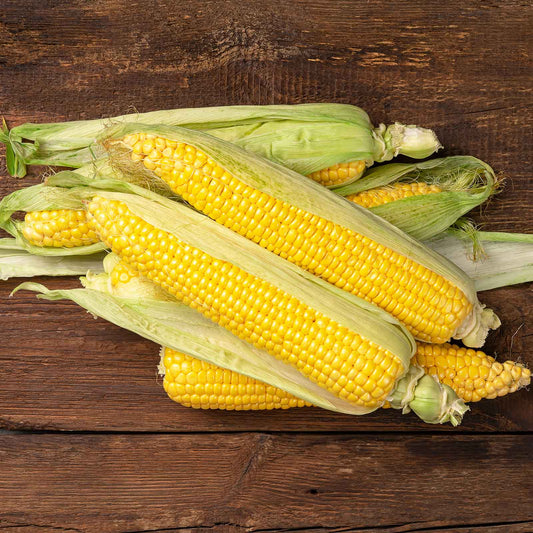 corn jubilee