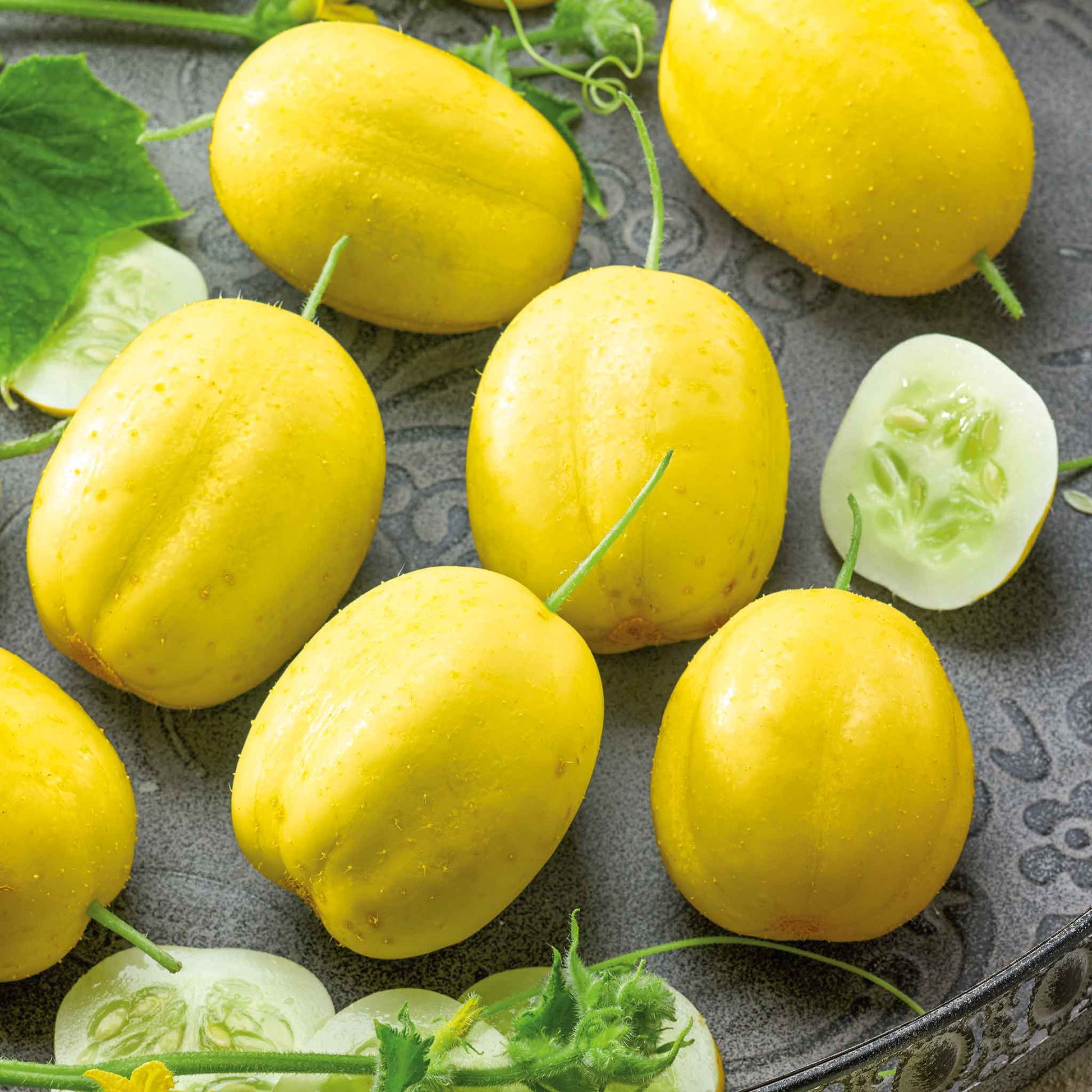 Bulk Cucumber Seeds Lemon Bulk Seed Store - Main Image