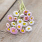 Bouquet of pink and white english daisy flowers with yellow centers on a wooden surface