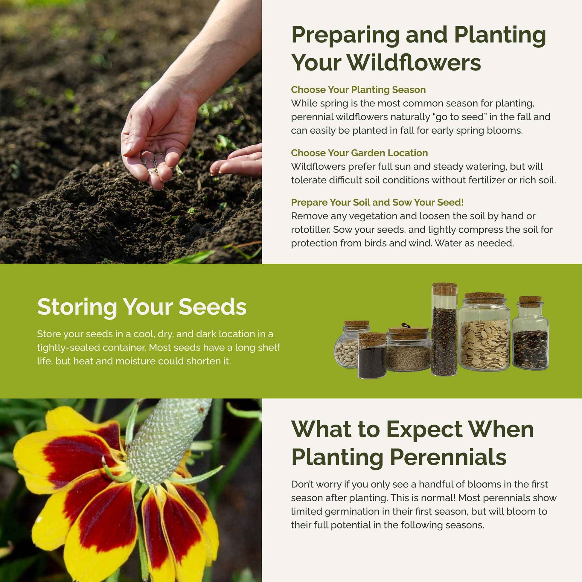 saving wildflower seeds Bulk Deer Resistant All Perennial Wildflower Seed Mix