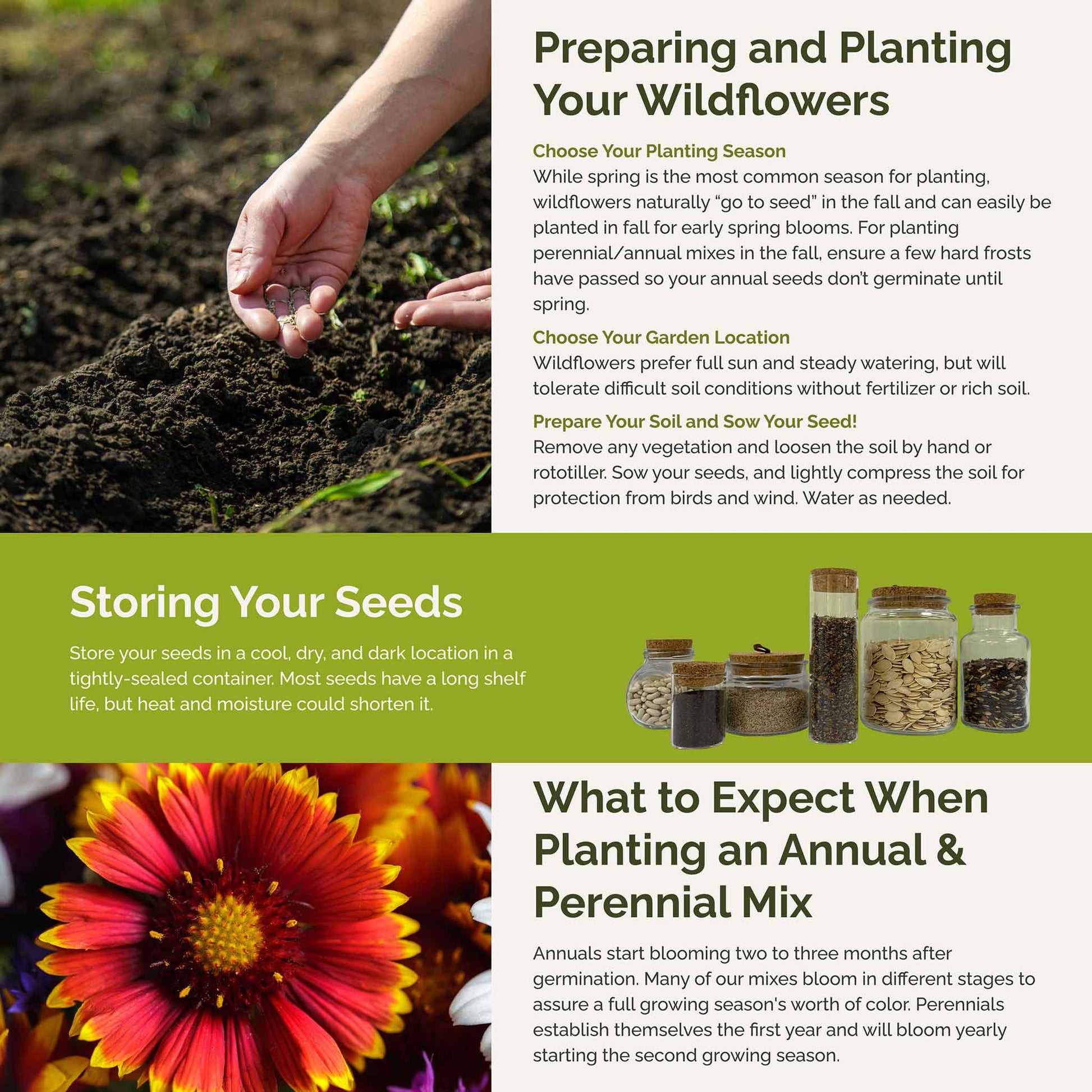 soaking wildflower seeds Bulk Deer Resistant Wildflower Seed Mix