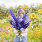 Person holding a bouquet of delphinium pacific mix flowers in a garden setting