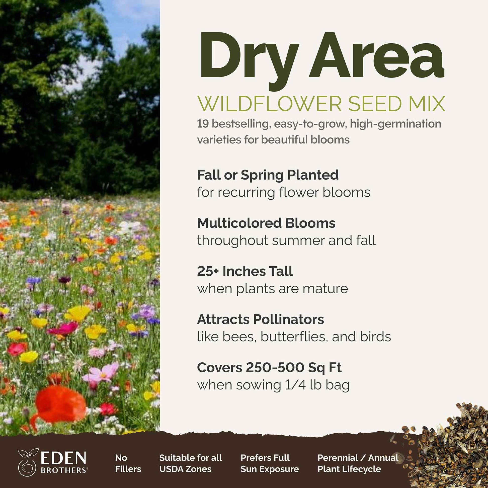 wildflower seeds for zone 6 Bulk Dry Area Wildflower Seed Mix