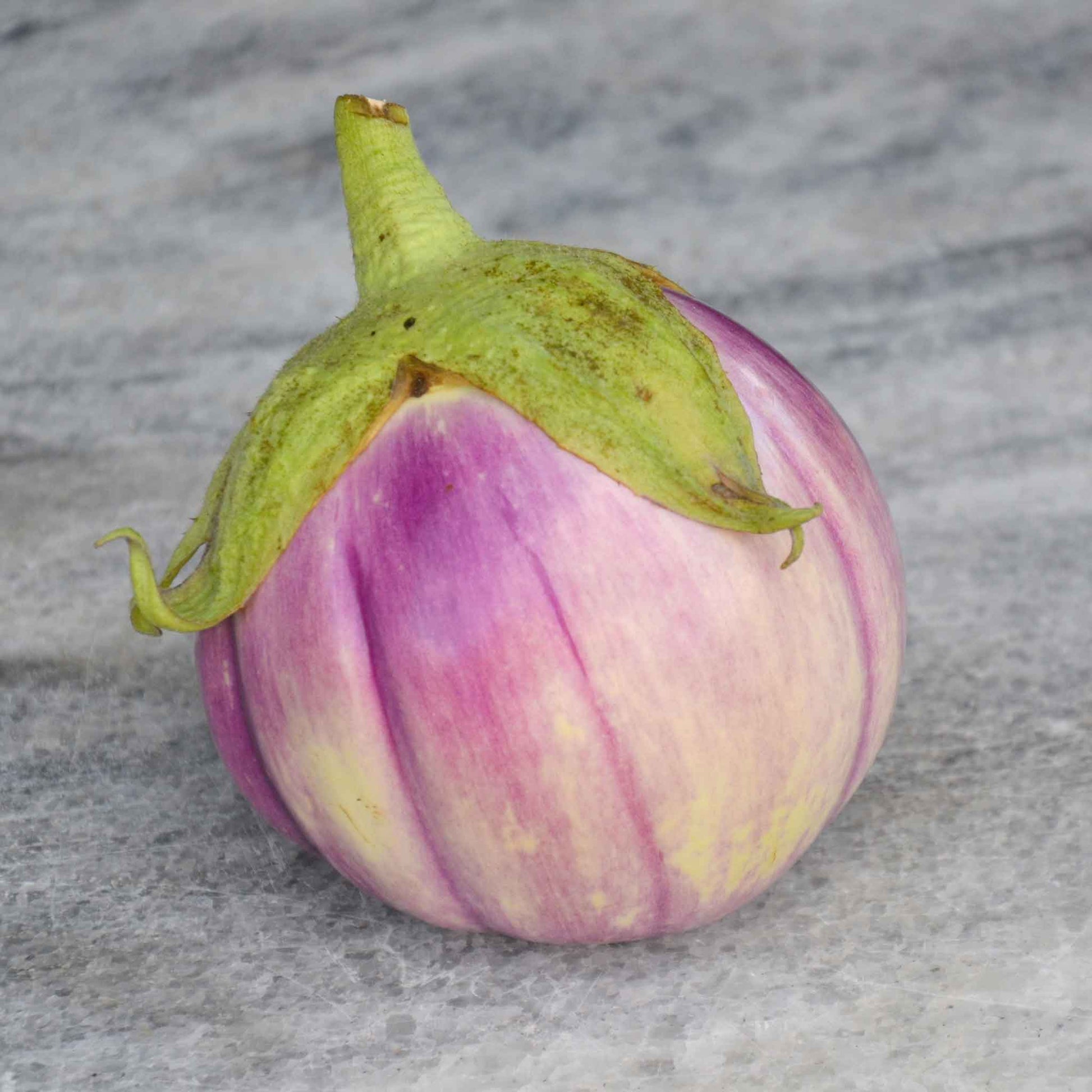 rosa bianca eggplant seeds Bulk Eggplant Seeds - Rosa Bianca