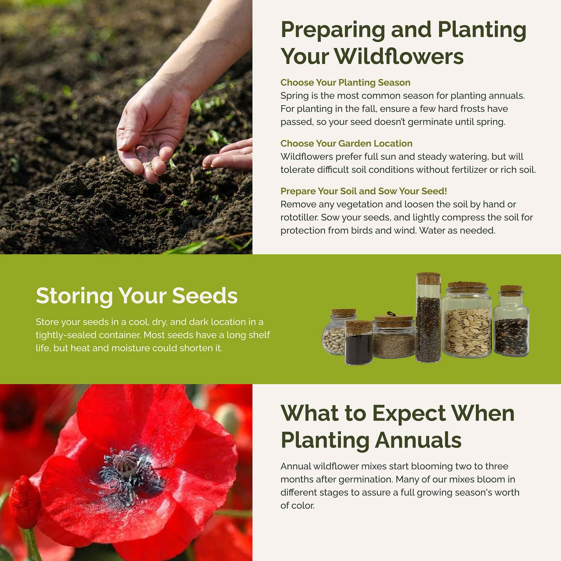 endless summer planting