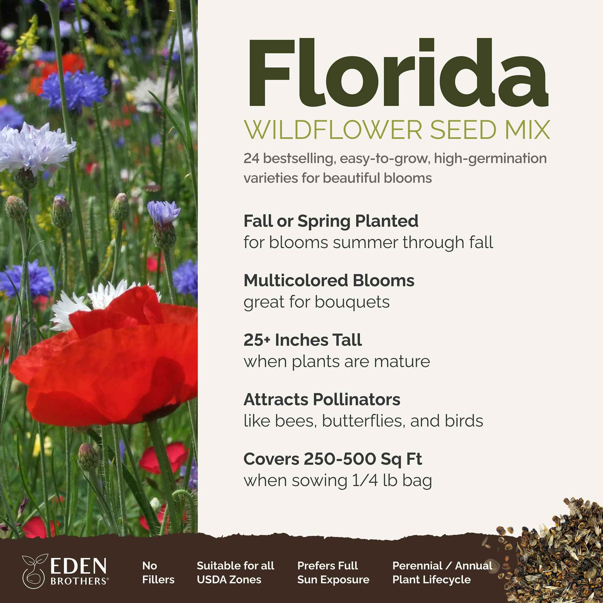flower seeds in bulk for sale Bulk Florida Wildflower Seed Mix