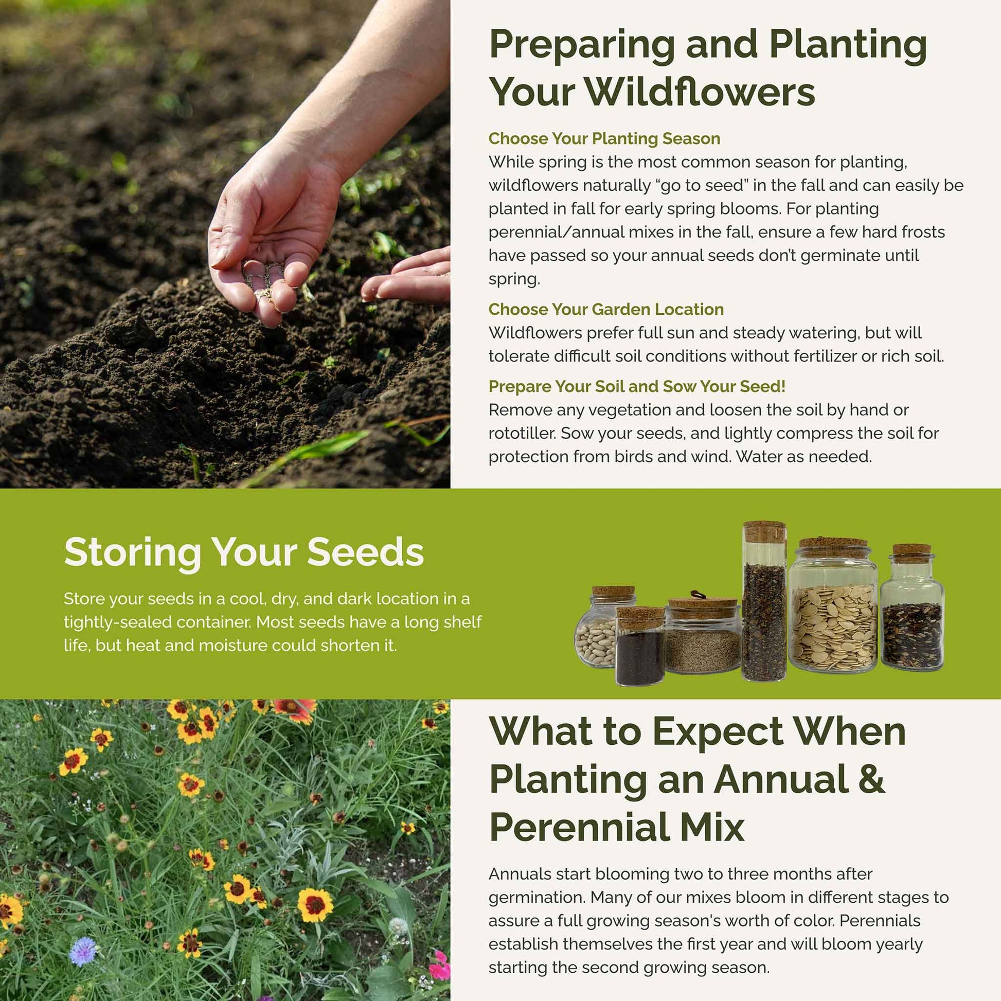 florida native plant seeds for sale Bulk Florida Wildflower Seed Mix