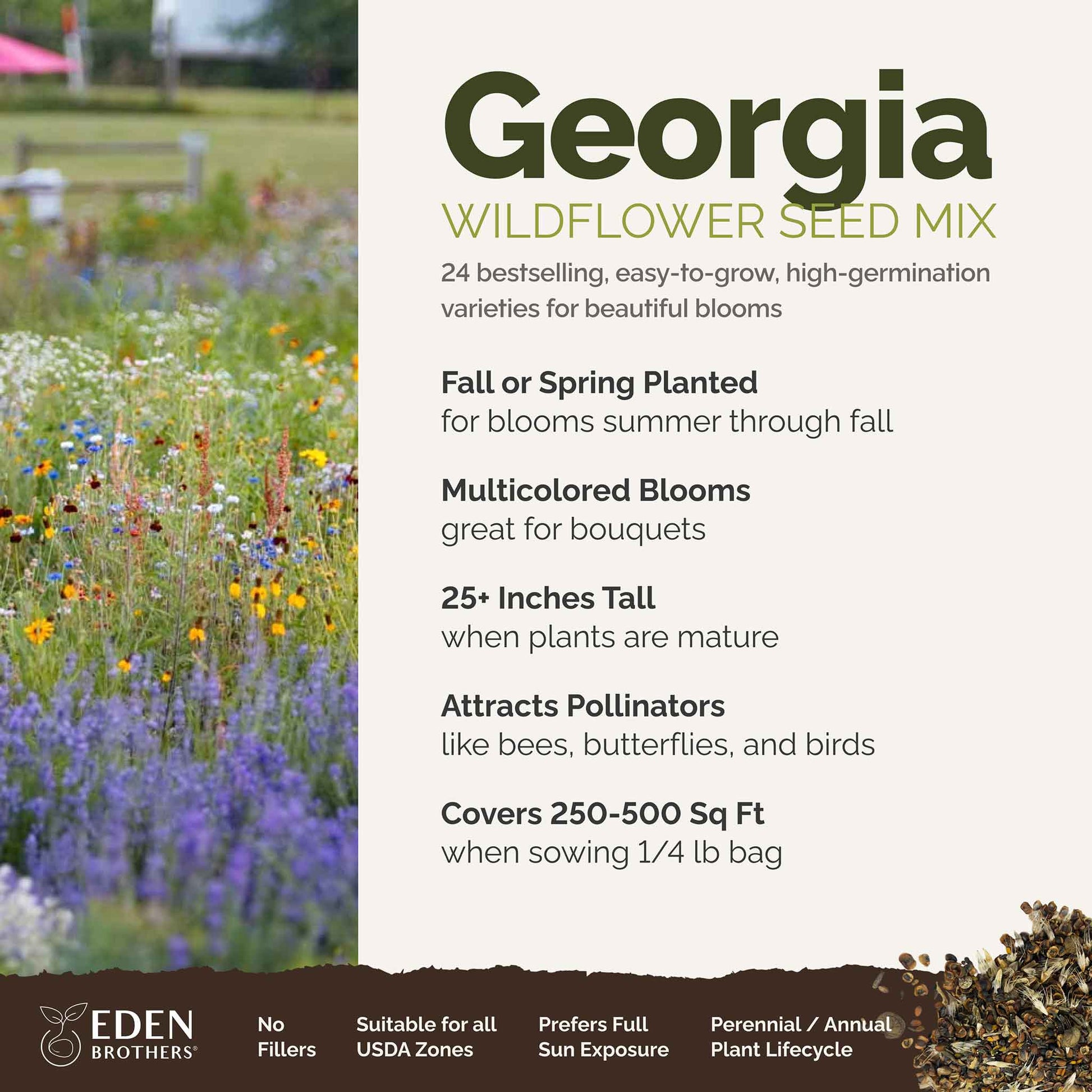 wild flower seed near me Bulk Georgia Wildflower Seed Mix
