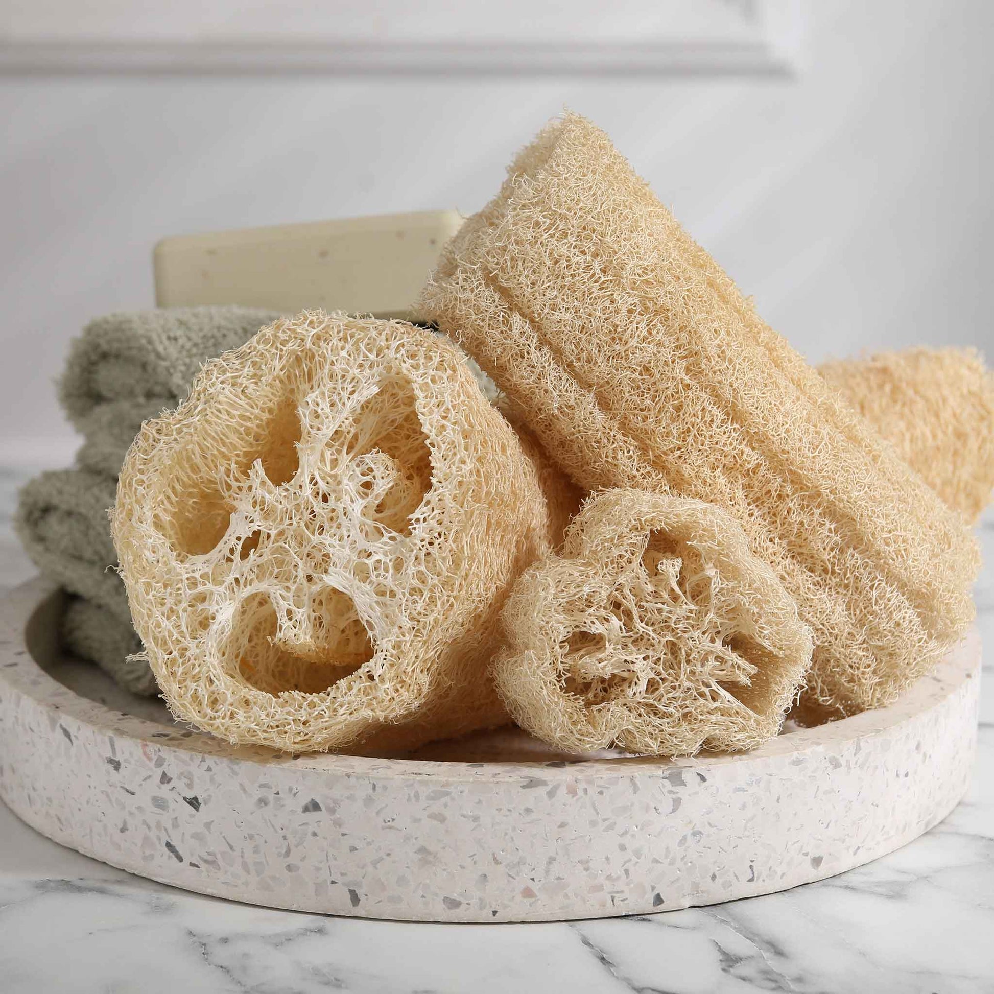 Bulk Gourd Seeds - Luffa | Bulk Seed Store