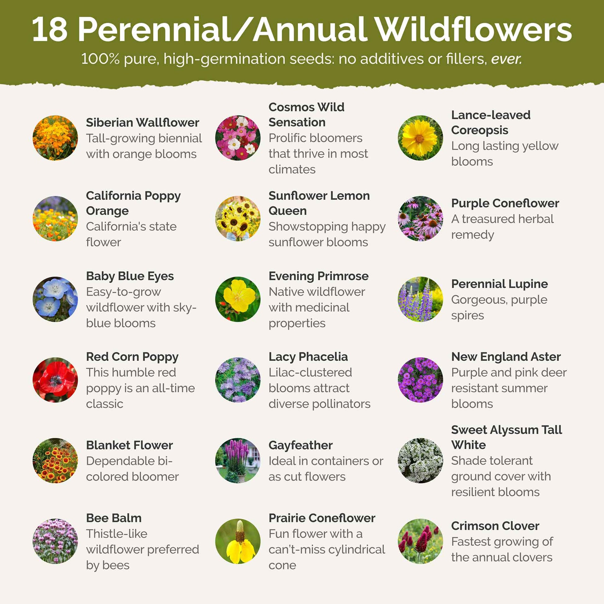 native hawaiian plant seeds Hawaii Wildflower Seed Mix