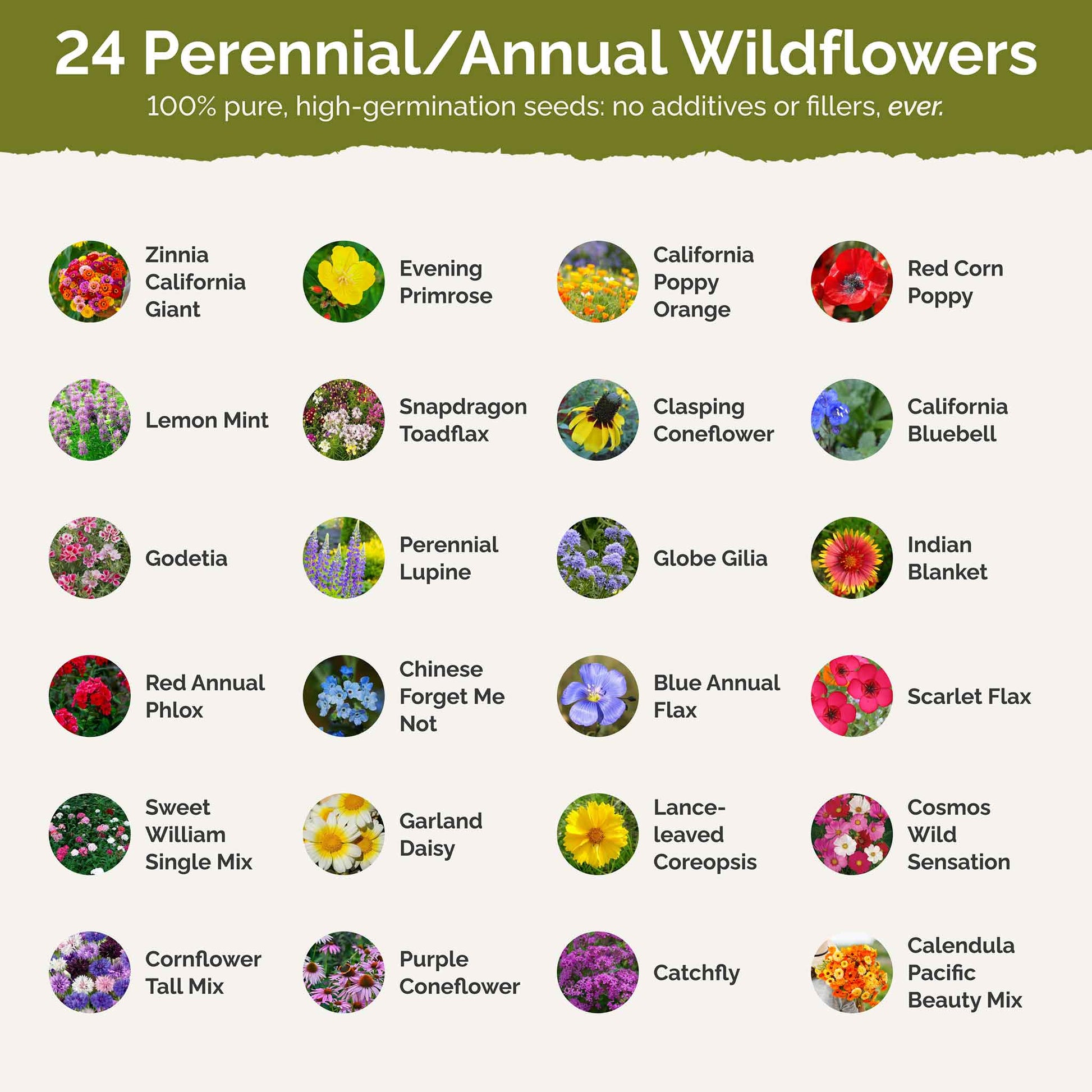 order flower seeds Bulk Heirloom Flower Seed Mix