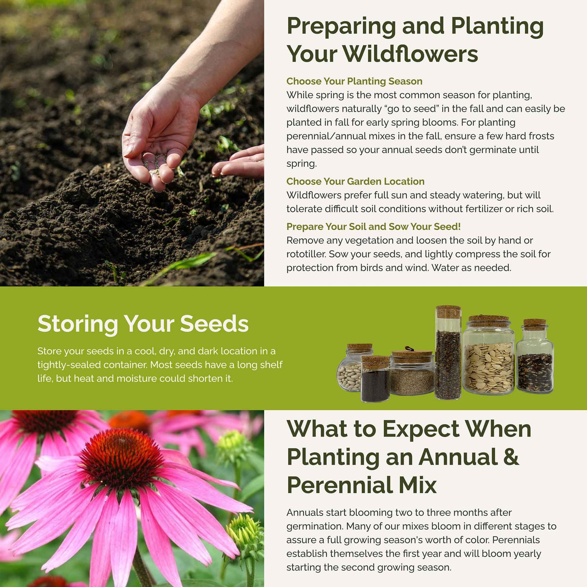 flower seeds for full sun Bulk Heirloom Flower Seed Mix