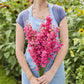 A person holding a bouquet of larkspur king size scarlet flowers in a garden setting.
