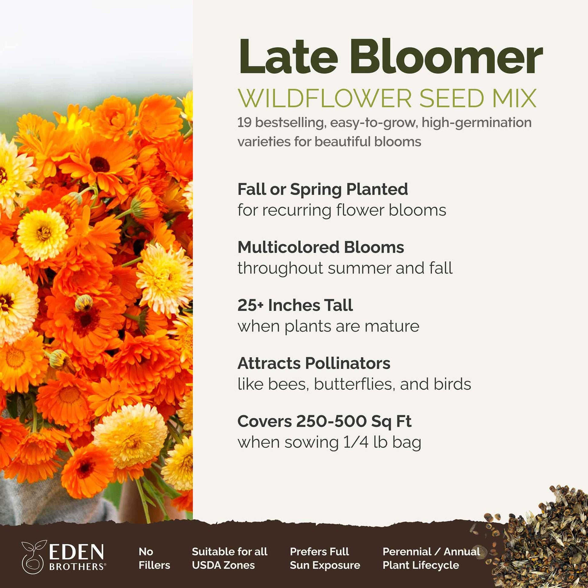 fall planted flower seeds Bulk Late Bloomer - Fall Blooming Wildflower Seed Mix