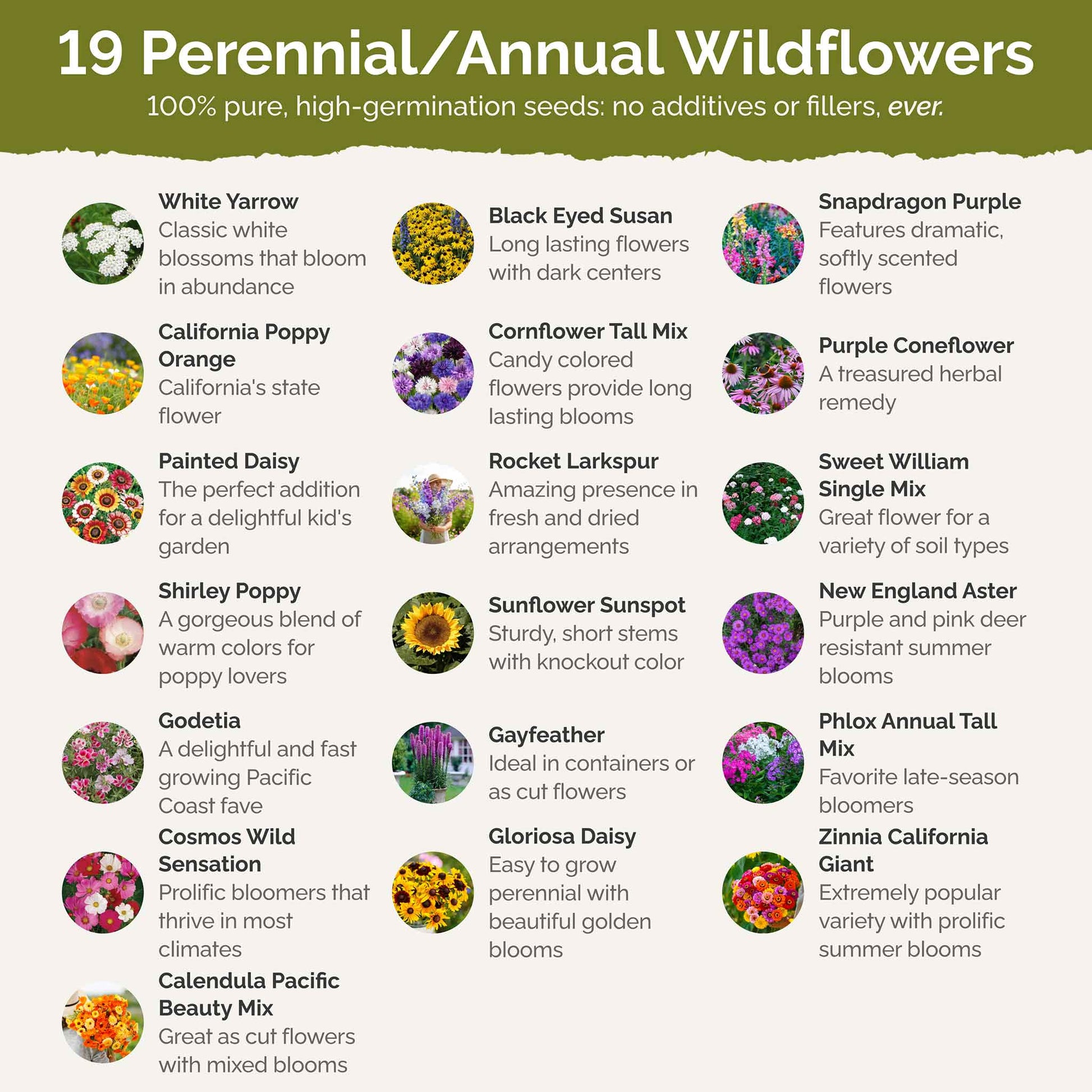 fall flower seed Bulk Late Bloomer - Fall Blooming Wildflower Seed Mix