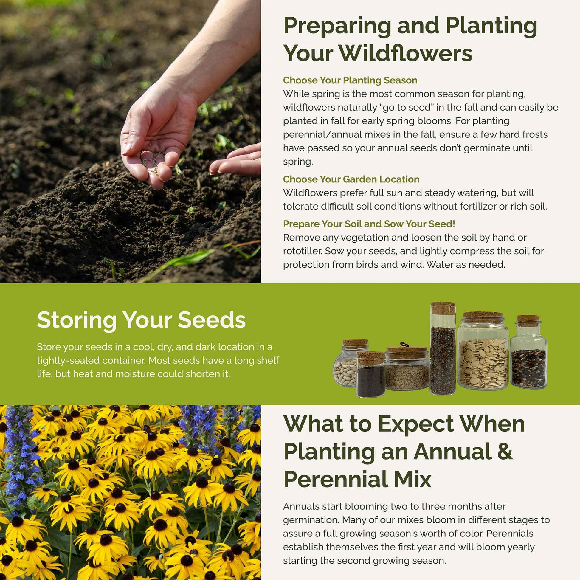 flower seeds for fall planting Bulk Late Bloomer - Fall Blooming Wildflower Seed Mix