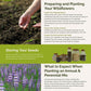 loopy planting