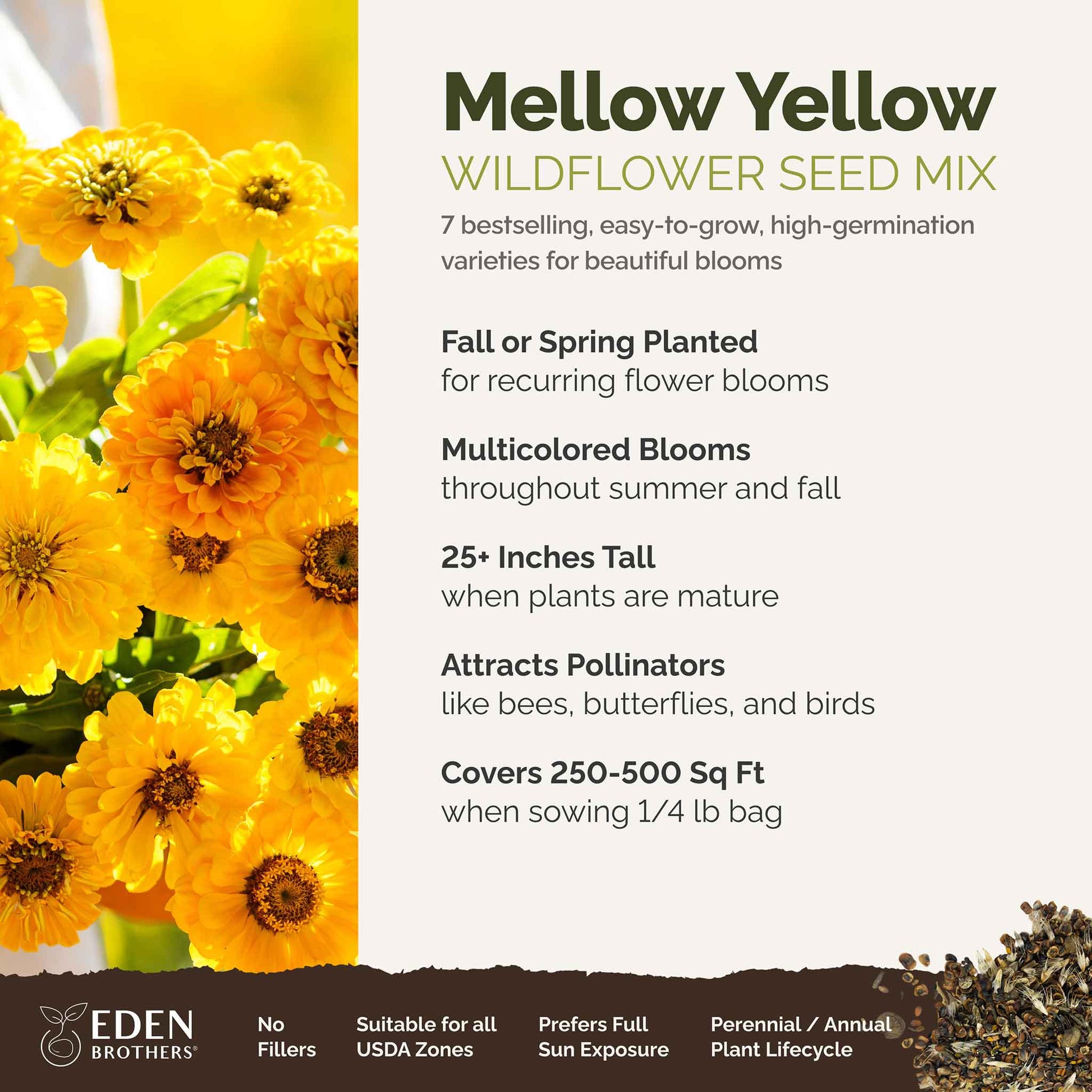 yellow flower seeds float away Bulk Mellow Yellow - Yellow Flower Seed Mix