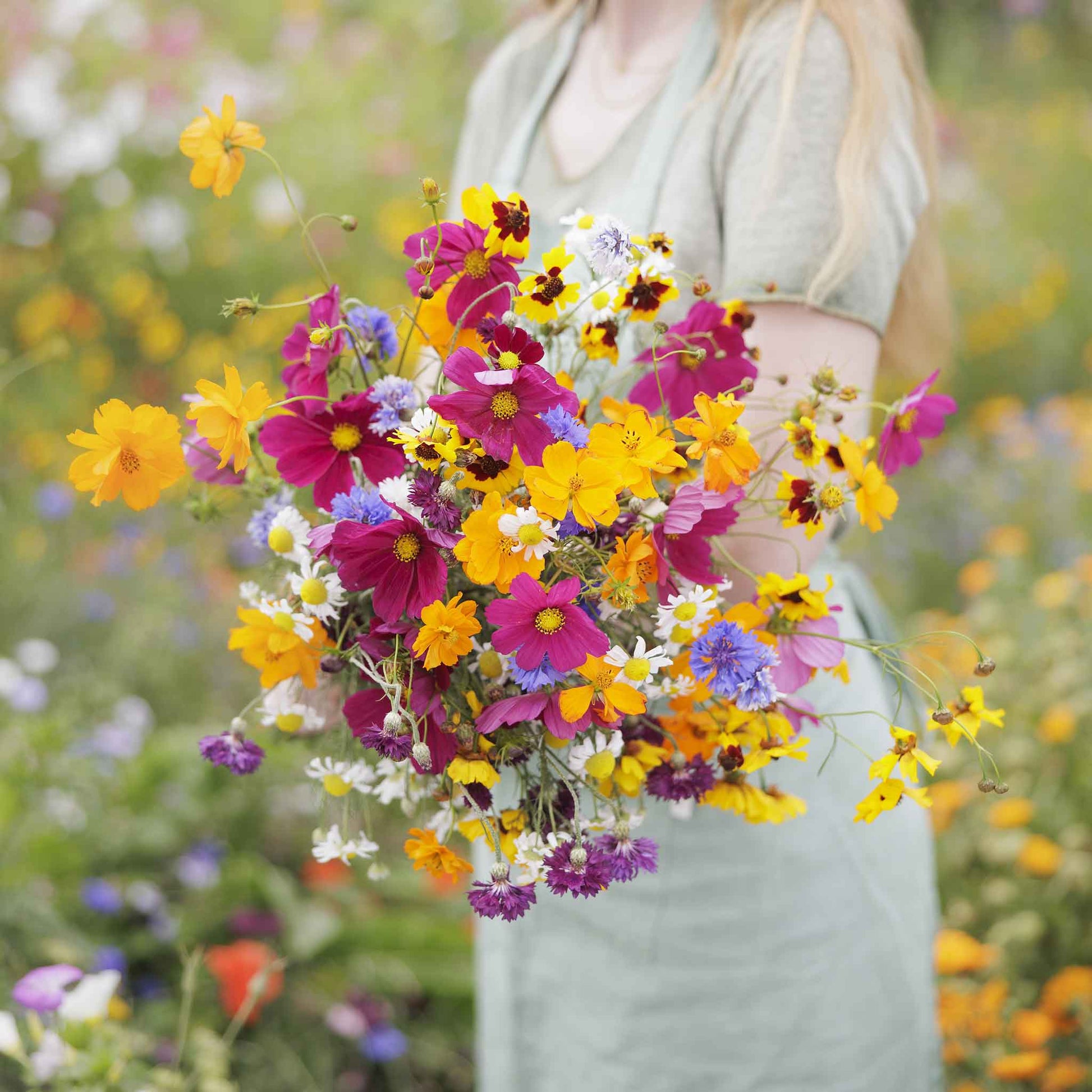 where to buy wildflower seeds Bulk Midwest Wildflower Seed Mix