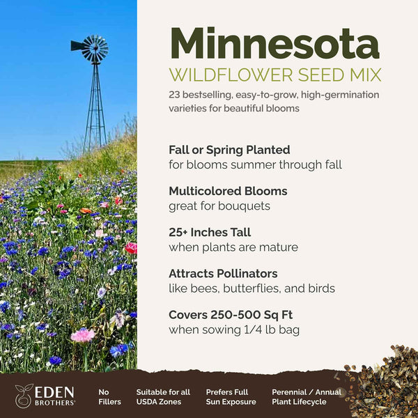 Minnesota Wildflower Seed Mix Bulk Seed Store