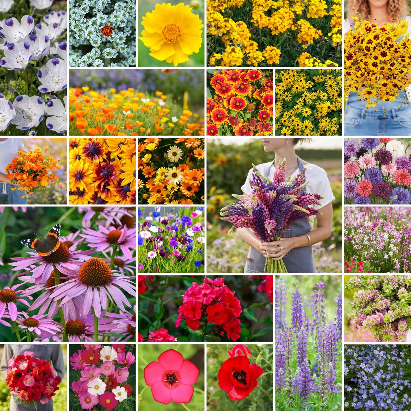 sack of wildflower seeds Bulk Southeast Wildflower Seed Mix