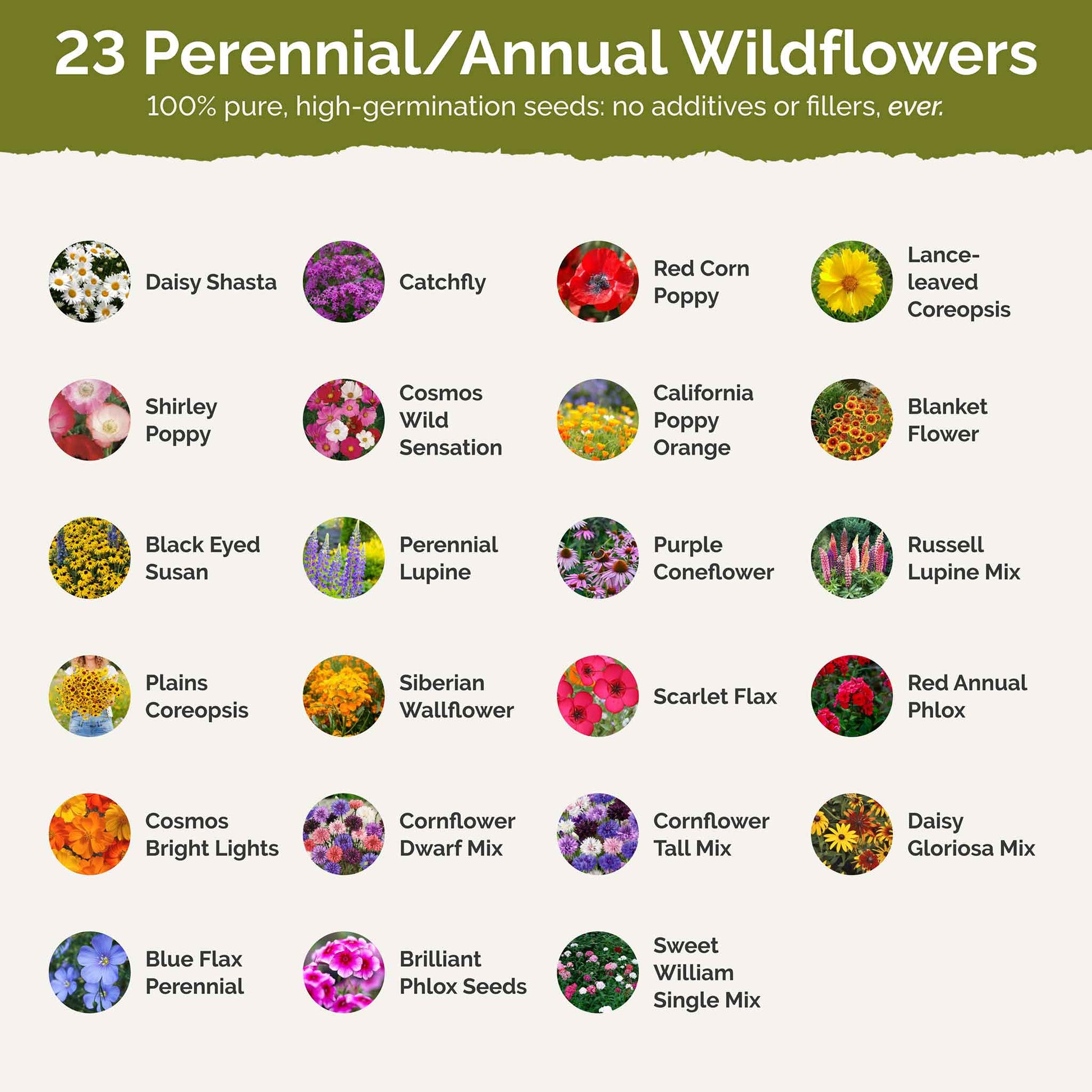 native non invasive wildflower seeds Bulk New Hampshire Wildflower Seed Mix