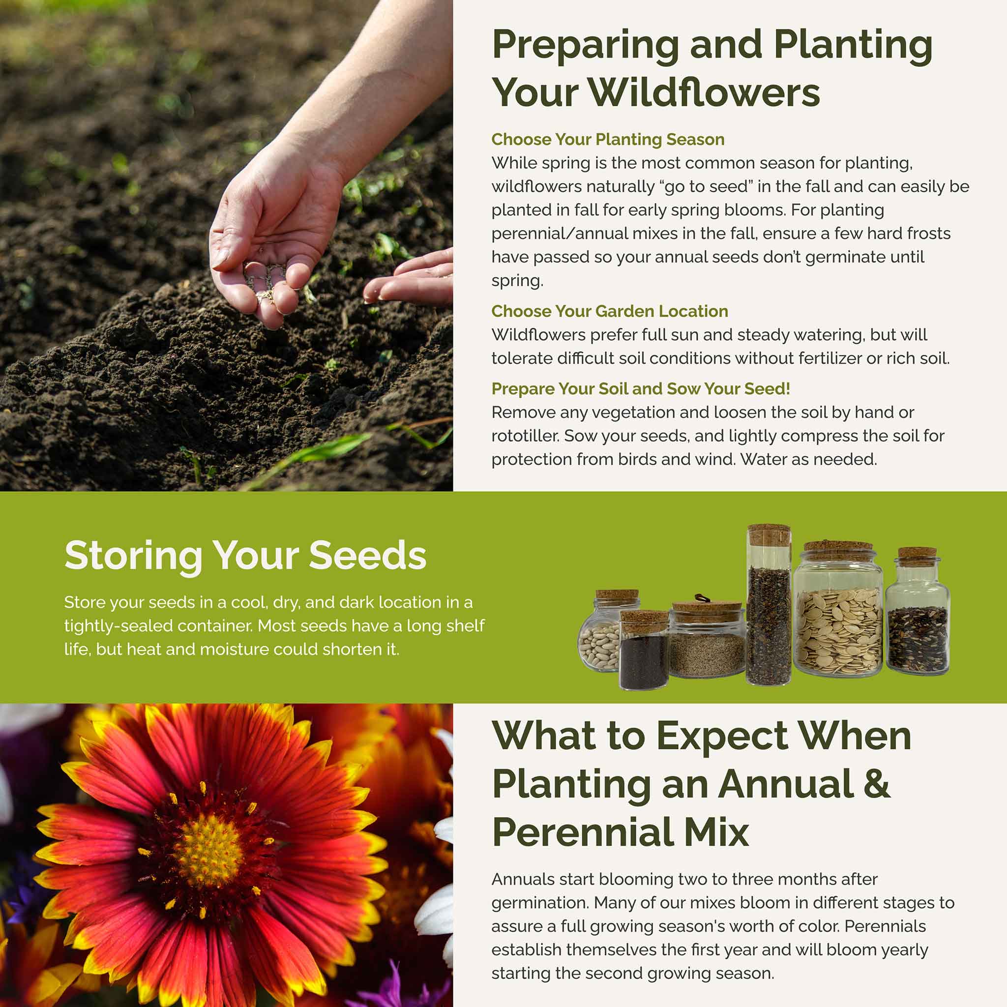 New Mexico Wildflower Seed Mix | Bulk Seed Store