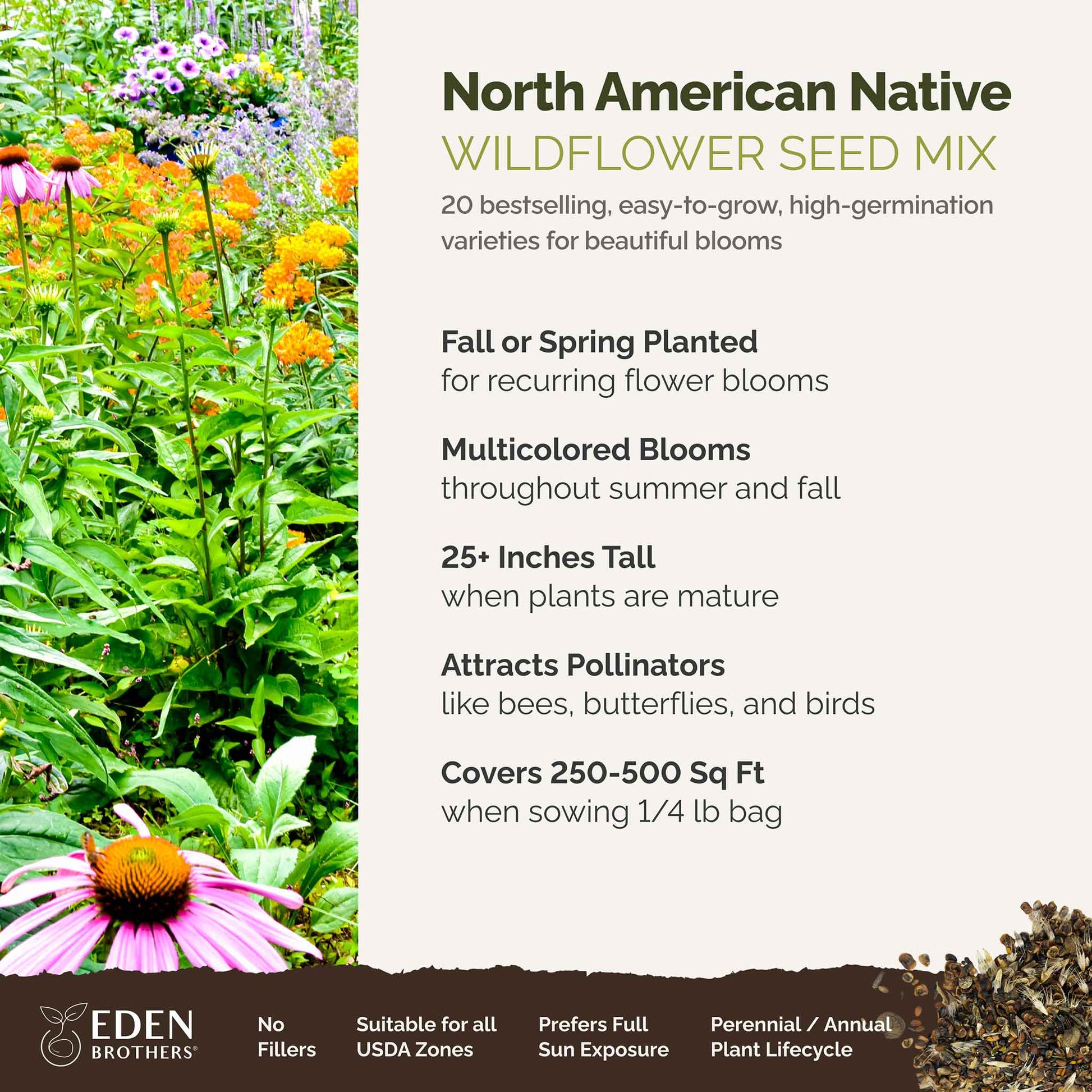 pa native wildflower seed mix Bulk North American Native Wildflower Seed Mix