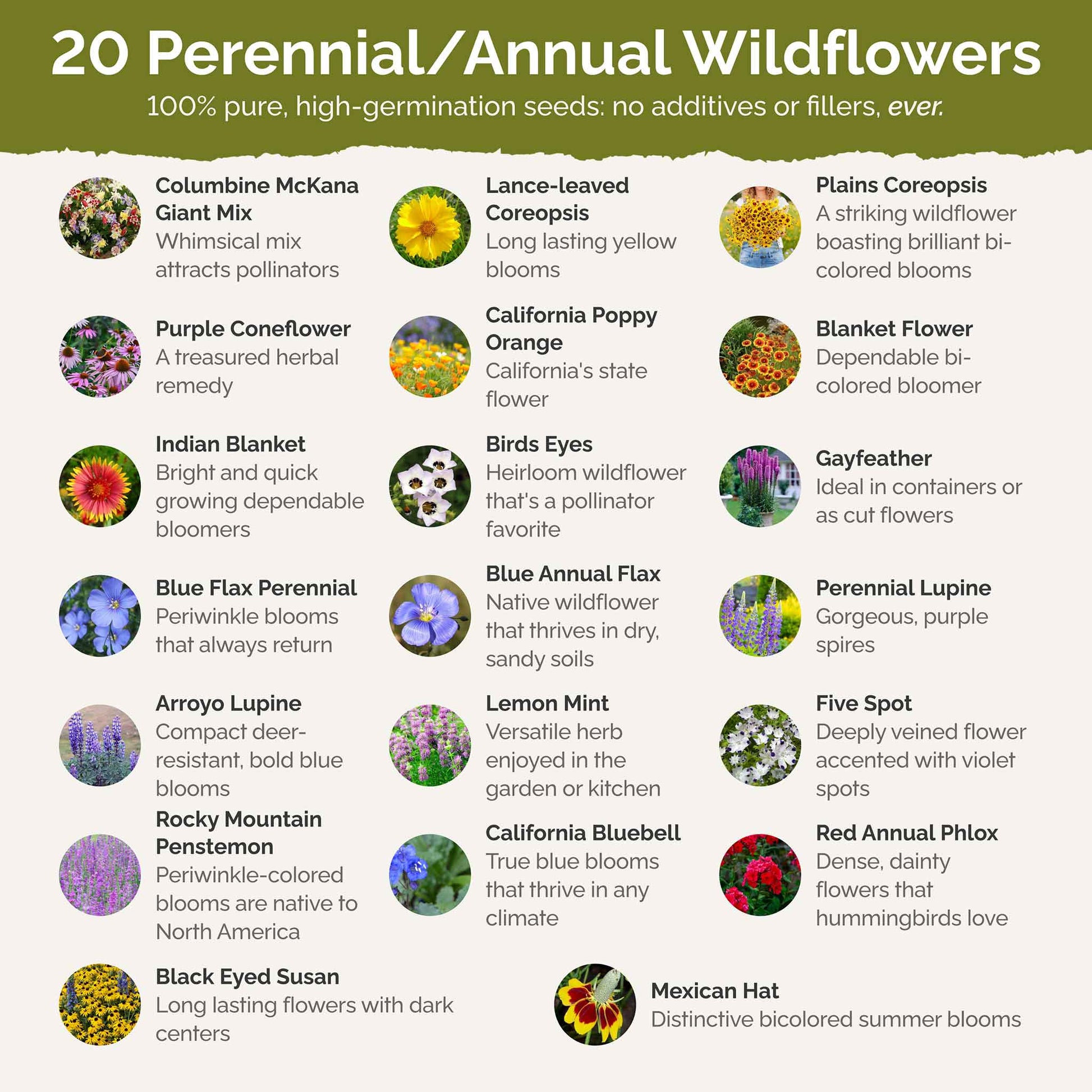 american seed company wildflower mix Bulk North American Native Wildflower Seed Mix