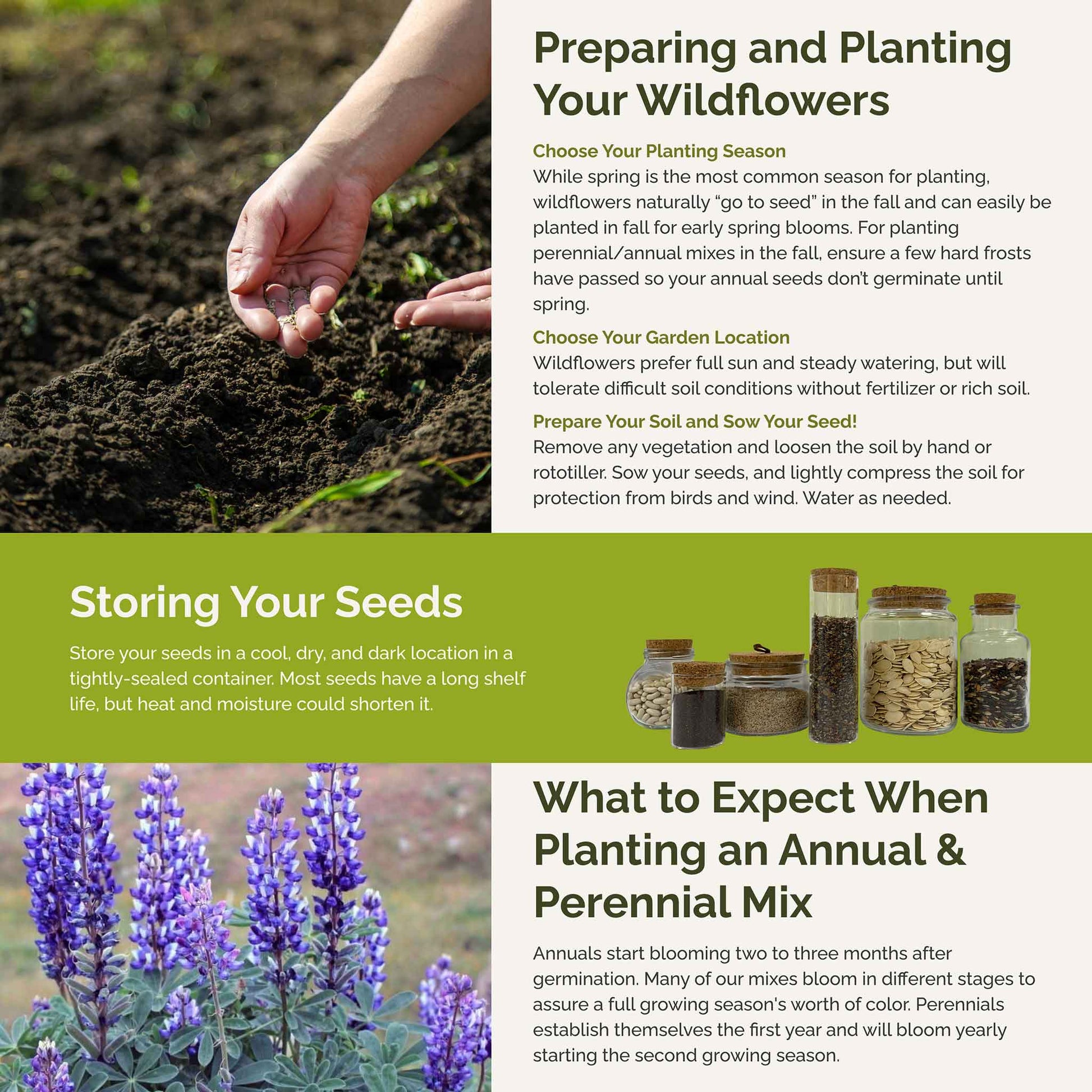 wildflower seed mix zone 3 Bulk North American Native Wildflower Seed Mix