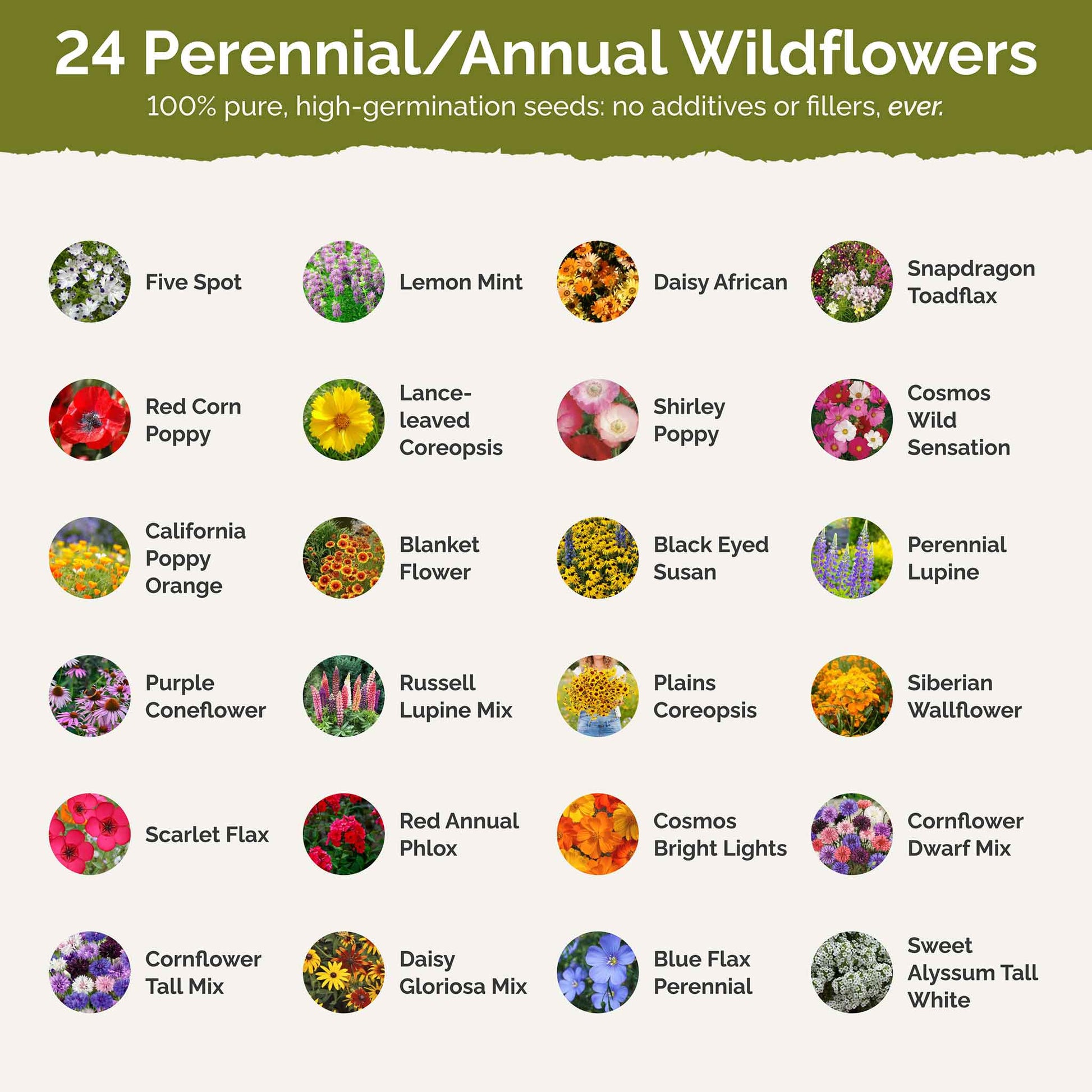 wildflower seed for sale Bulk North Carolina Wildflower Seed Mix