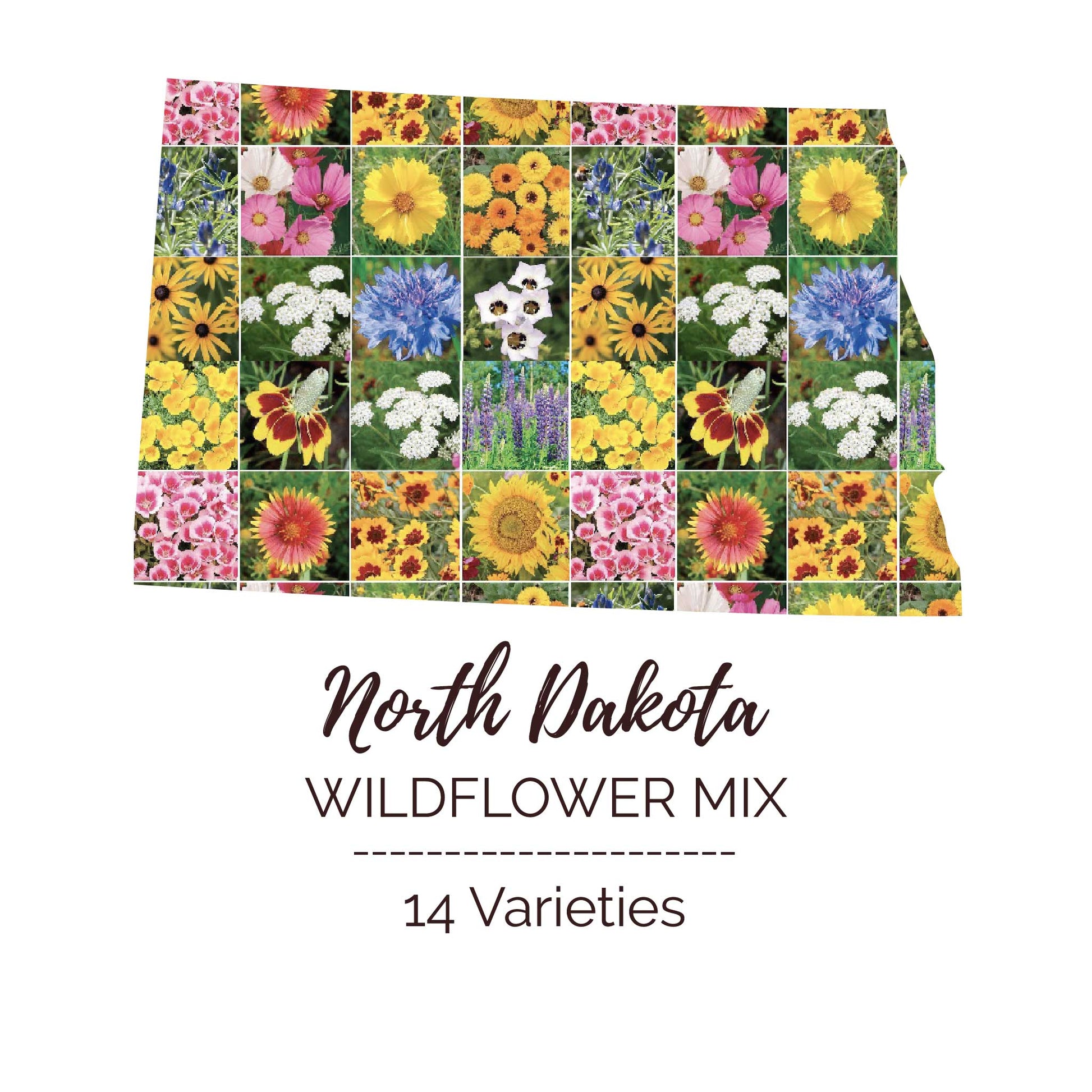 wildflower seed bulk North Dakota Wildflower Seed Mix