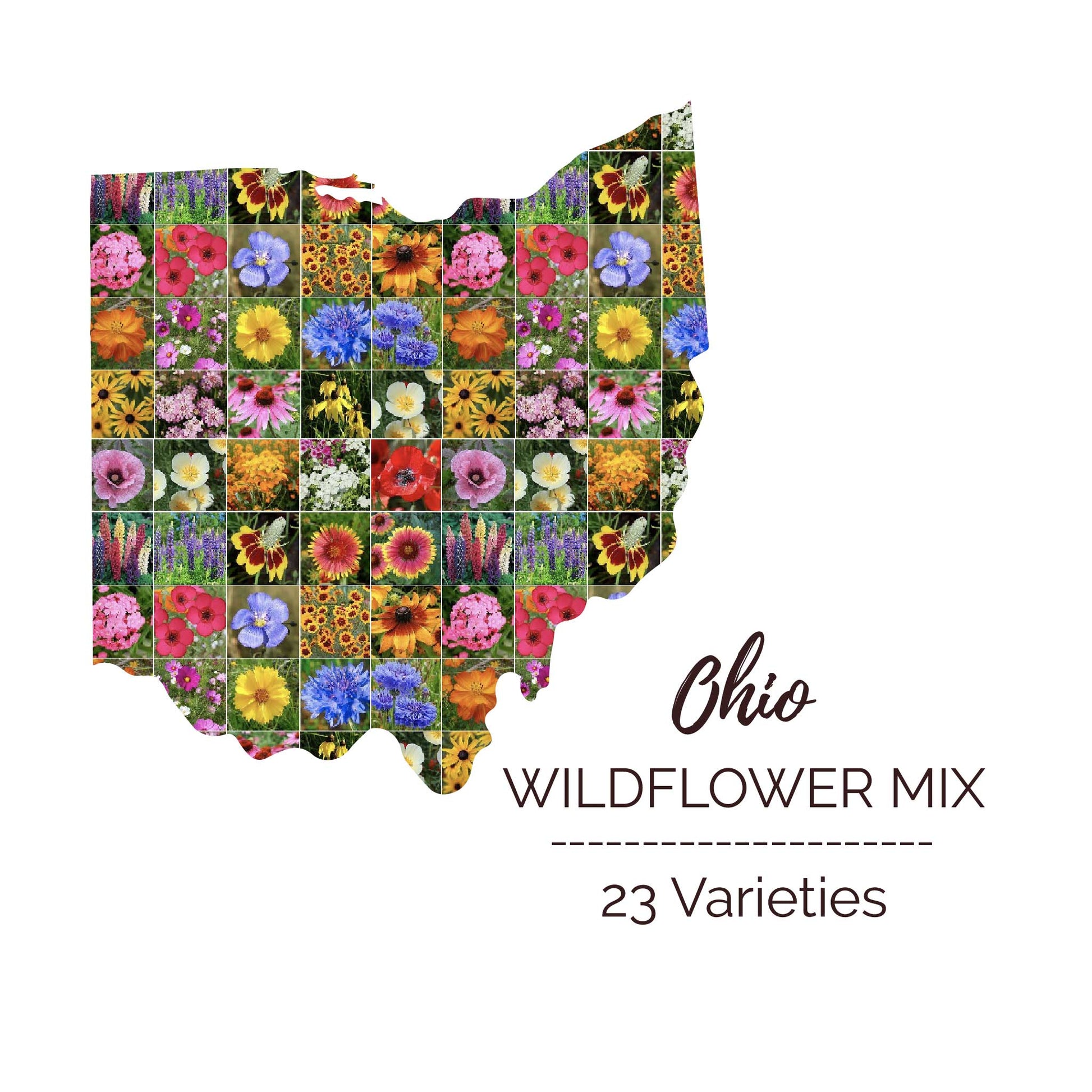 michigan wildflower seeds bulk Bulk Ohio Wildflower Seed Mix