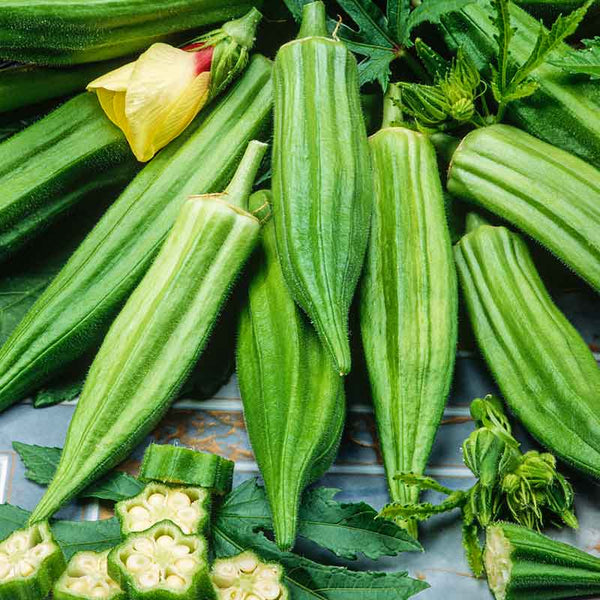 Okra Clemson Spineless - Xotica Collection Les graines de france Okra Clemson Spineless - Xotica Collection Les graines de france