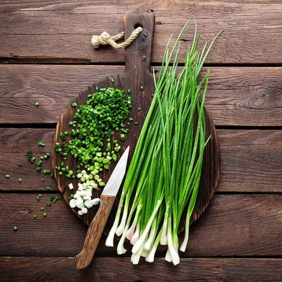 Bulk Onion Seed Buy in Bulk & Save Bulk Seed Store Page 2