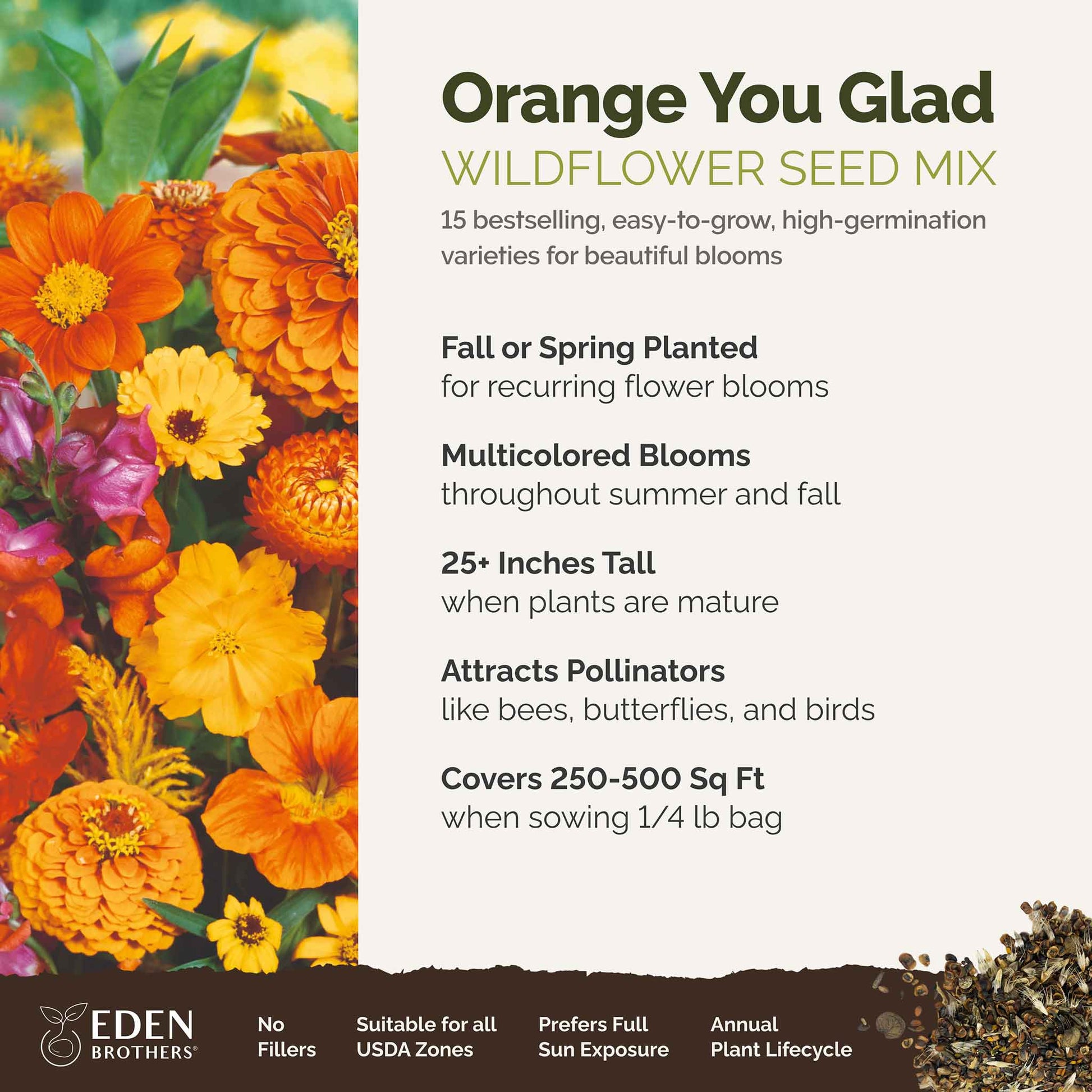 eden wildflower seeds Bulk Orange You Glad - Orange Flower Seed Mix