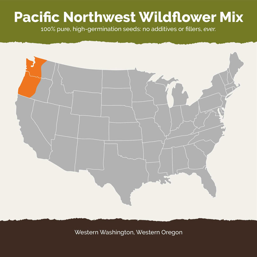 Bulk Pacific Northwest Wildflower Seed Mix Bulk Seed Store