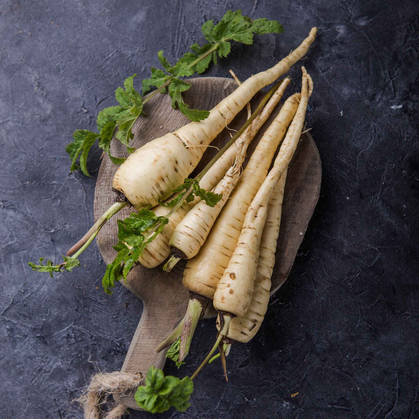 plant parsnip seeds Bulk Parsnip Seeds - All-American